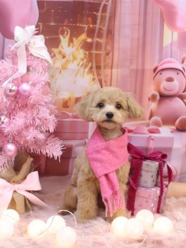 20241204レオくん